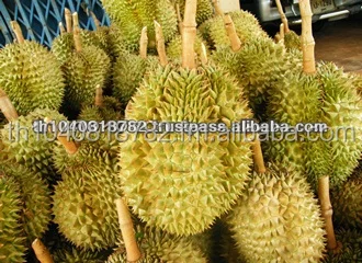 
Premuim Fresh Durian from Thailand 