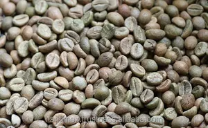 Unroasted Coffee Beans >> Unroasted Coffee Beans Unroasted Coffee Beans Suppliers And Unroasted Coffee Beans >> Unroasted Coffee Beans Unroasted Coffee Beans Suppliers And