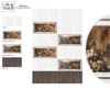 Wall Tiles 30 X 60 Kitchen concept