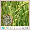 Soil improvement for acids soil, High calcium magnesium improve soil balance pH