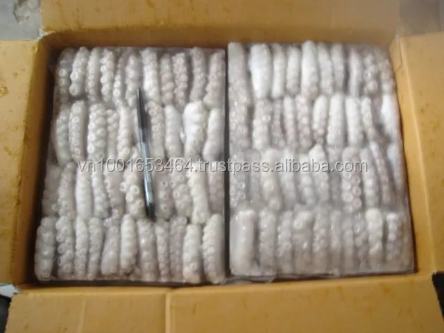 
FROZEN CUT POULP SQUID ALL SIZE IN VIET NAM 