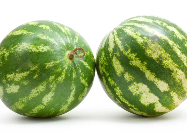 fresh watermelon price