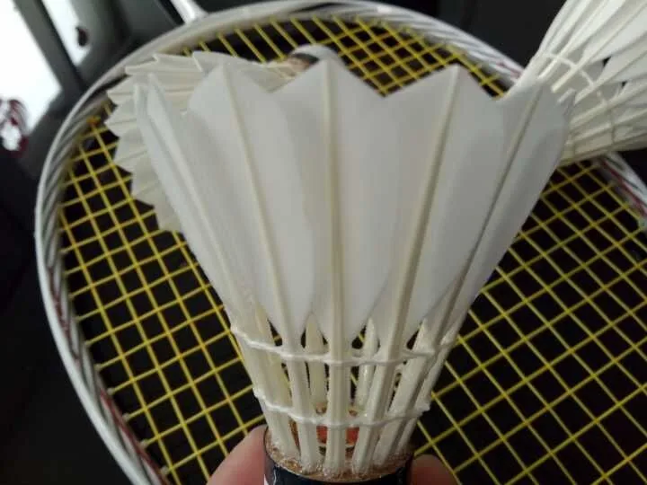Indoor Badminton Shuttlecock Equal To Lining A+600 Buy Indoor