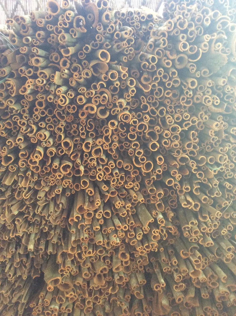 vinapro whole tube cassia/cinnamon