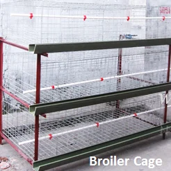 Nigeria's largest market agricultural equipment chicken cage for poultry farm (Guangzhou Factory)
