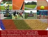 /product-detail/supreme-grade-sports-silica-sand-50000522523.html