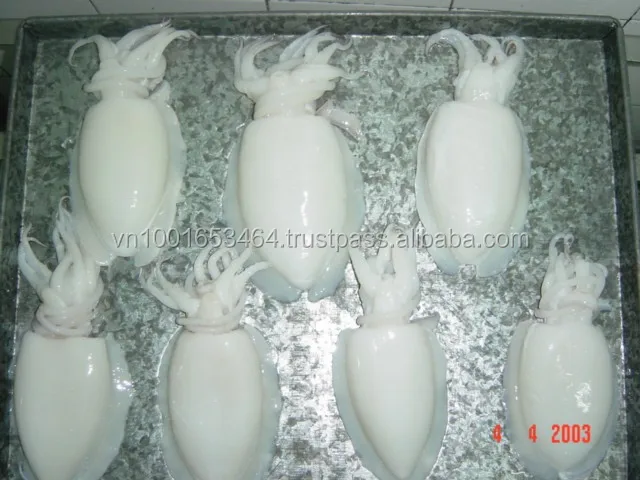 
FROZEN WHOLE CLEANED CUTTLEFISH IQF IN VIET NAM 