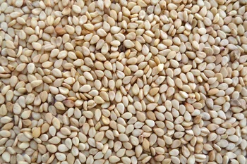 Image result for images of sesame seed