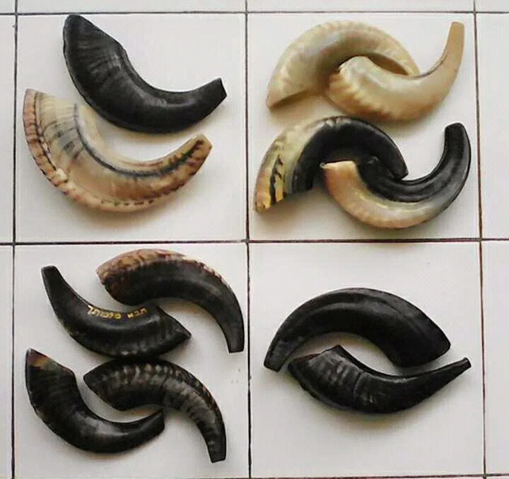 Natural Ram Horn Buy Natural Ram Horn,Ram Horns For Sale,Polished Ram