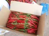 FROZEN RED SMALL BIG CHILLI / PEPPER