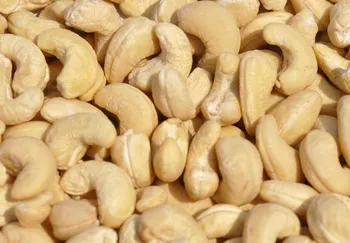 raw cashew nut market