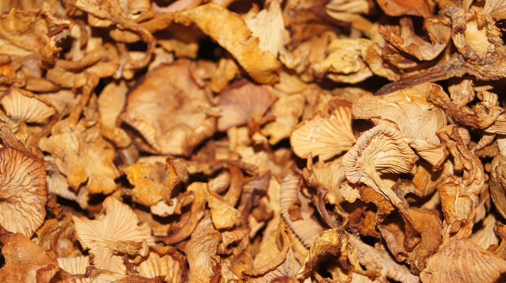 
Dried Chanterelle Mushroom, high quality wild-growing, supplements, anti-cancer, natural,edible raw material 