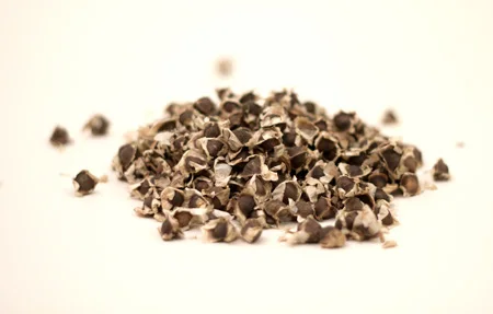 Star Grocery Moringa Seeds beneficial for anemia, Asthma and many more diseases