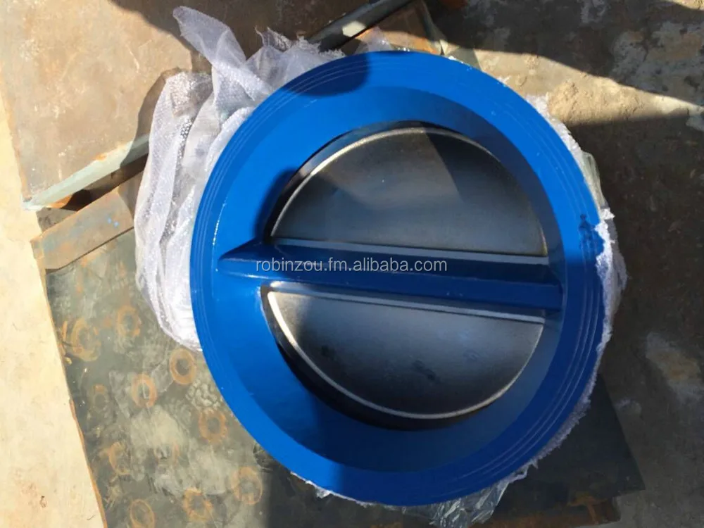 
DIN PN10/PN16 Cast Iron wafer Double Door Check Valve DN40-DN900 