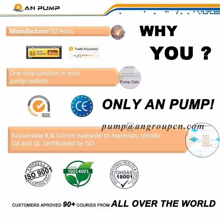 Gold Mine Dewatering Mineral Processing High Pressure Slurry Pump Sand