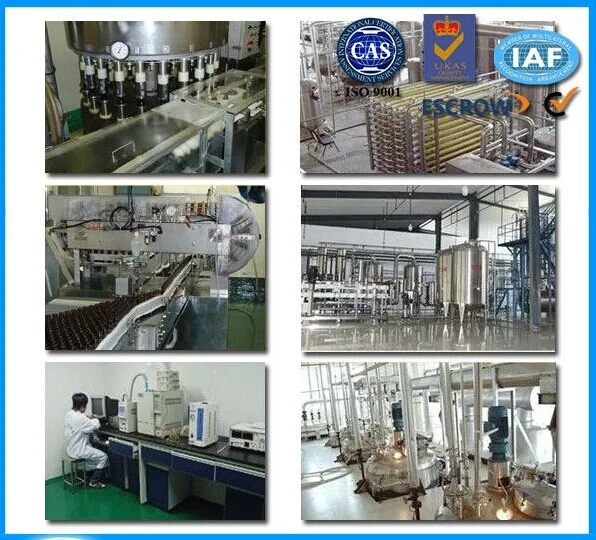 Production Process