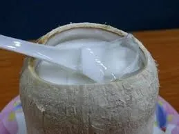 Fresh Young Coconuts