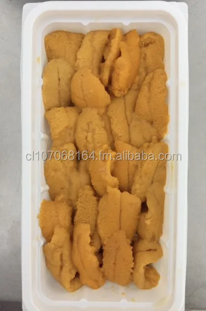 
Sea Urchin Roe 