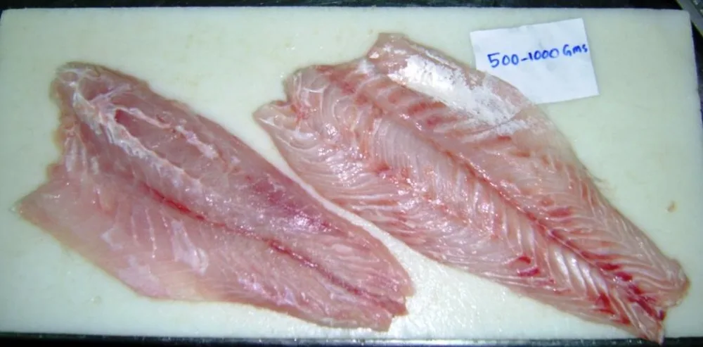 Nile Perch Fish Photo Images Pictures On Alibaba