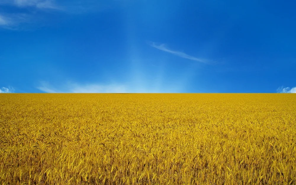 Міф про "неправильний" прапор використовували для дестабілізації ситуації поруч з мовним питанням, - геральдист Андрій Гречило - Цензор.НЕТ 4049