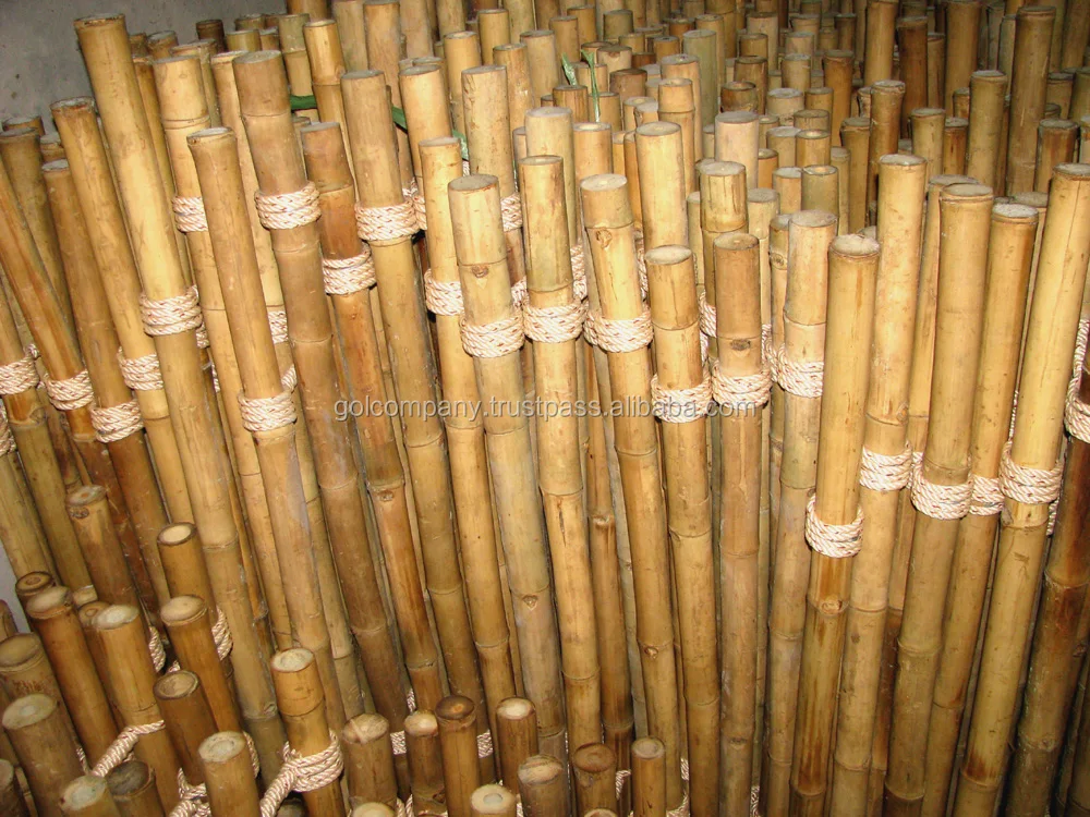Bamboo fencing - Bamboo poles fence - 02.JPG
