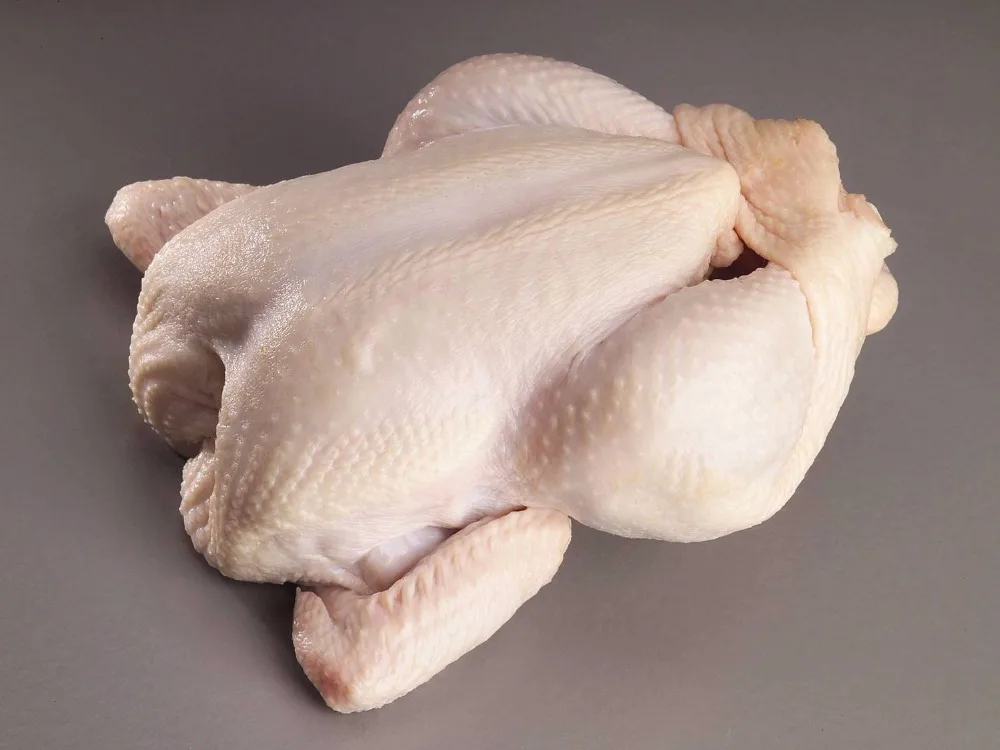 grade a halal frozen chicken feet, paws, breast