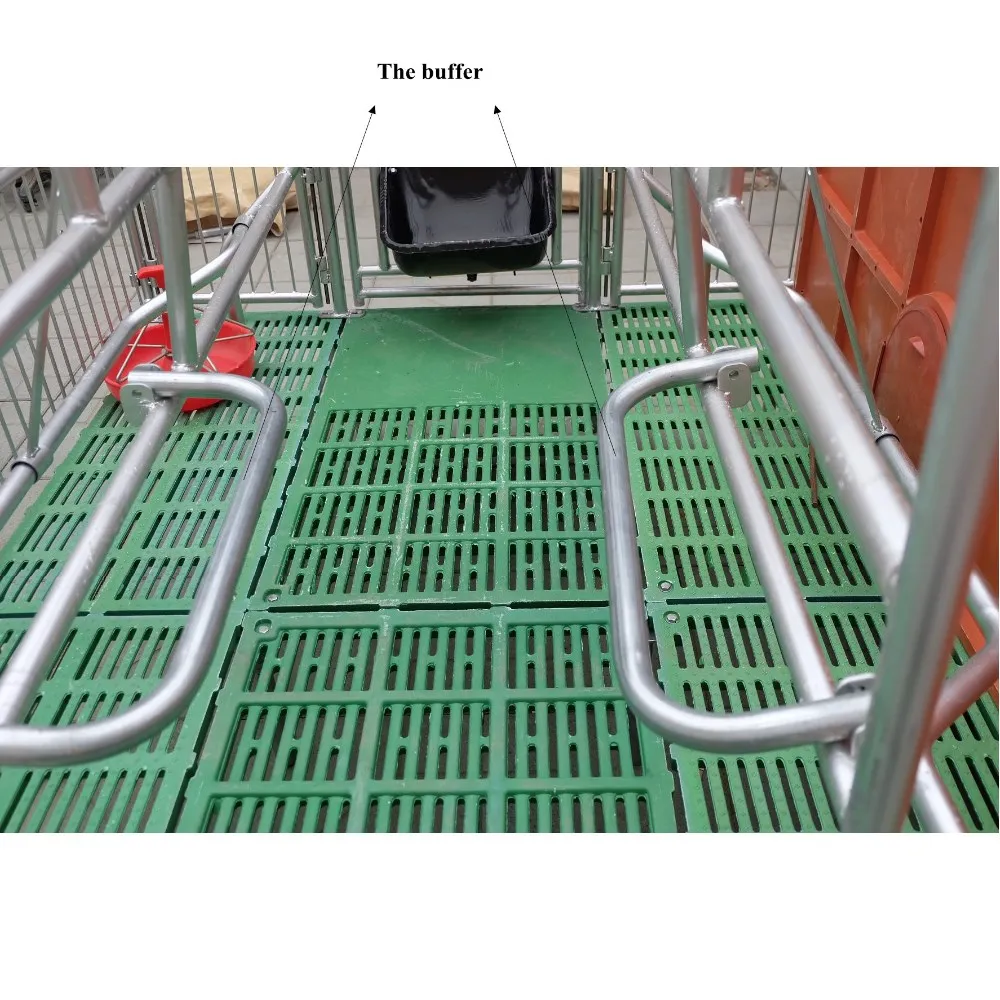 Pig Farming Equipment Adjustable Farrowing Crates For Pigs