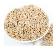 Peeling Machine/Einkorn Peeling Machine/Millet Einkorn Peeling Machine/Einckorn Husk Removing Machine