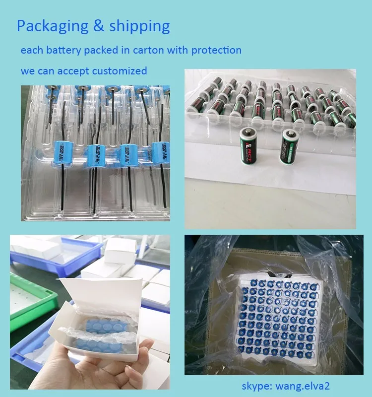 size D 3.6V cylindrical cell spiral type Battery ER34615M.jpg