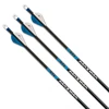 Wholesale Bow And Arrow Hunting Carbon Express Arrows Archery