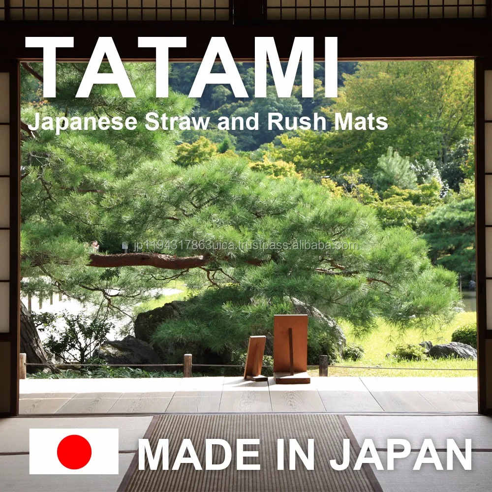 dIKEHIKO 8905009 Japanese Tatami Mat Igusa Rush 82x82cm Japan EMS 