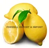 Leading Exporter of Big Lemon From Egypt