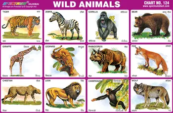 Wild Animals Chart