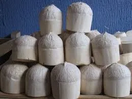 Fresh Young Coconuts