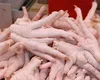 Cheap High Quality Processed Frozen Fresh chicken feet from Thailand