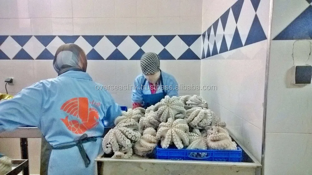 
Hot Selling High Quality frozen iqf octopus flower from Morocco 