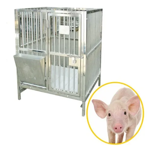 Stainless Steel Metabolic Cage With Rack,Laboratory Animal Metabolism