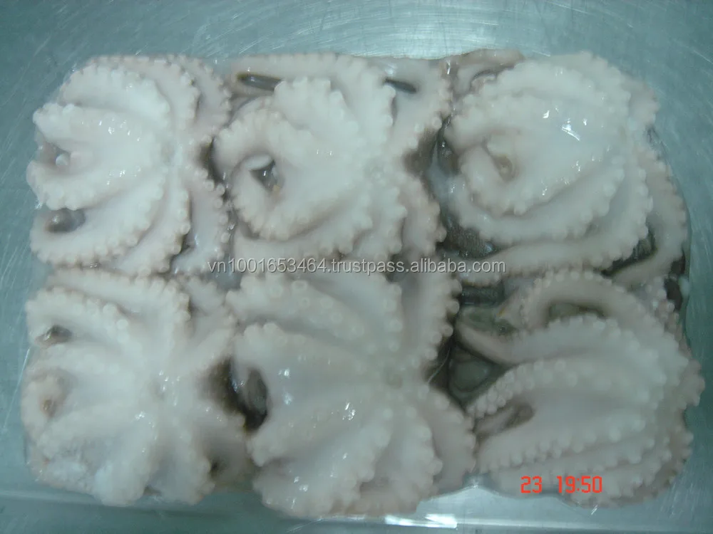 
Frozen Baby Octopus/Baby Octopus in Viet Nam- best price 