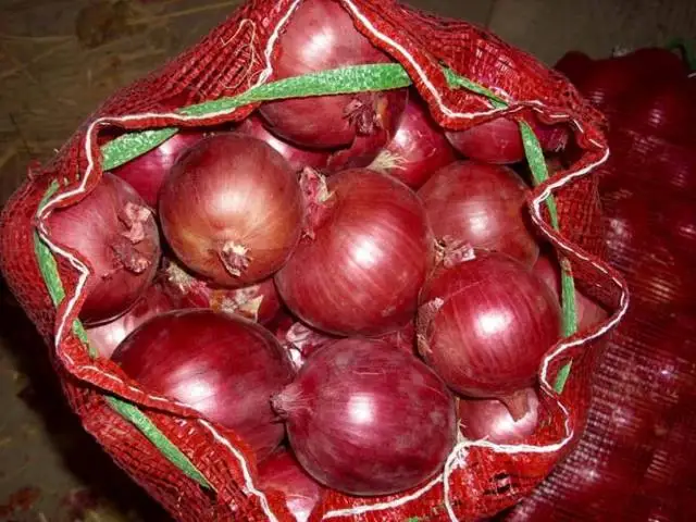 fresh onion 4 