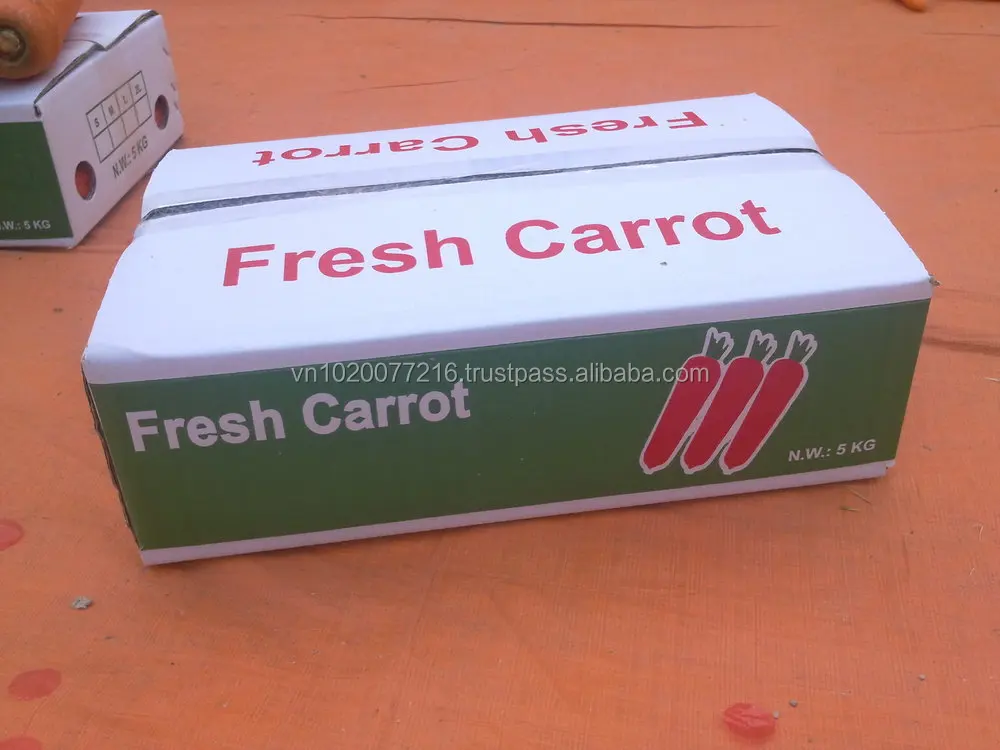 CARTON PACKIG CARROT.jpg