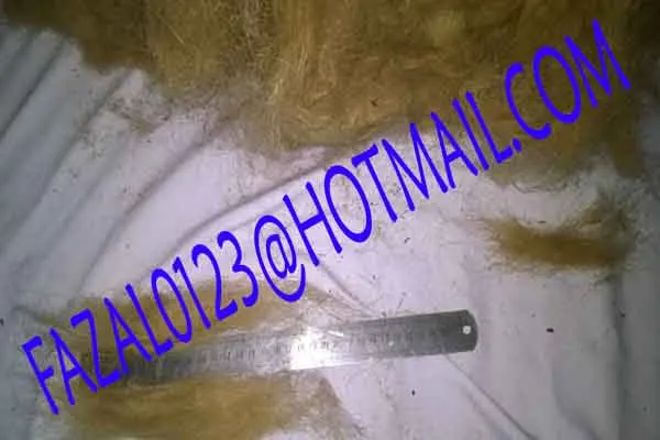 
Jute Caddies / Jute Waste 