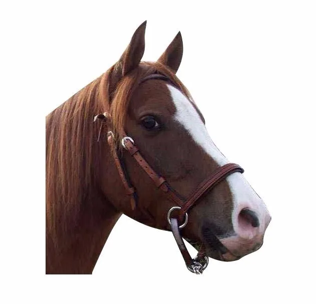 Leather English Horse Bridles Ehb029 Supplier Of Bridle Horse With