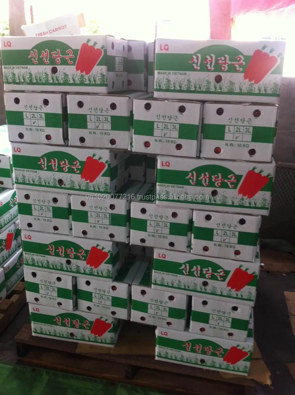 Carton Fresh Carrot Japan.jpg