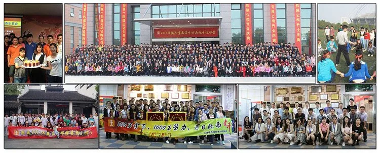 Roll Up Banner For Trade Show/PVC Display Stand