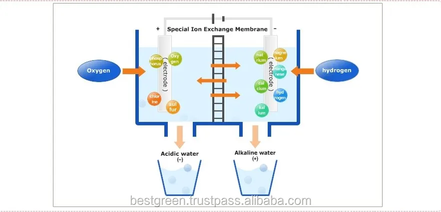101S Description-5.jpg