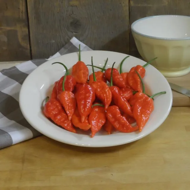 cheapest fresh naga jolokia!