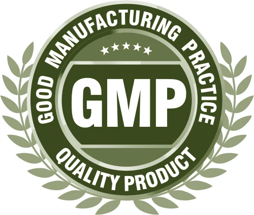 GMP logo.png