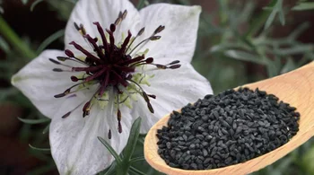 Best-quality-Bangladeshi-Origin-Black-Seeds-Black.jpg_350x350