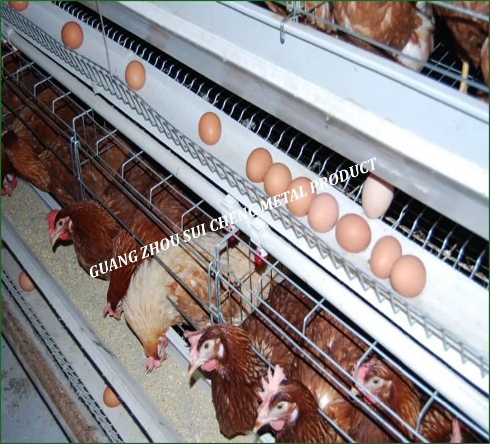 Guangzhou Factory Chicken Farm Layer Cages For Sale In Zimbabwe