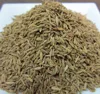 Good quality lowest price for cumin seeds and cumin powder